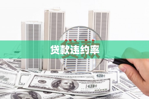 贞丰贷款违约率