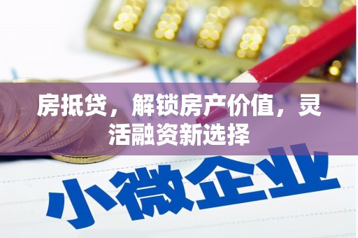 贞丰房抵贷，解锁房产价值，灵活融资新选择