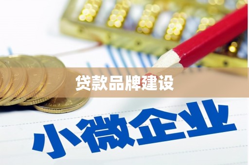 贞丰贷款品牌建设