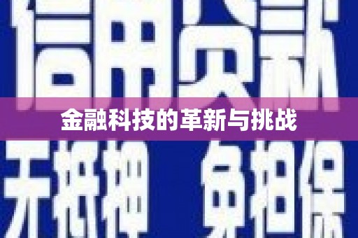 贞丰金融科技的革新与挑战