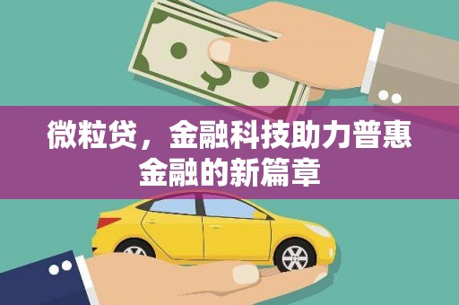 贞丰微粒贷，金融科技助力普惠金融的新篇章