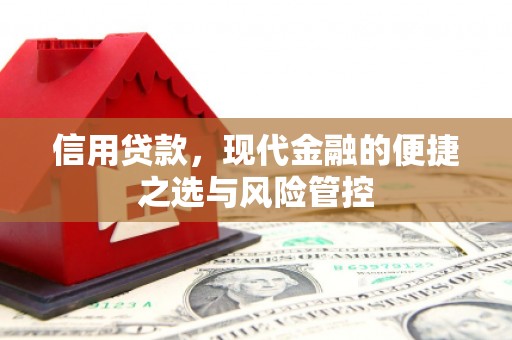 贞丰信用贷款，现代金融的便捷之选与风险管控