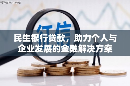 贞丰民生银行贷款，助力个人与企业发展的金融解决方案