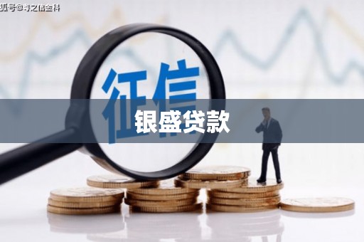贞丰银盛贷款