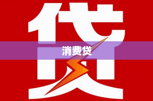 贞丰消费贷