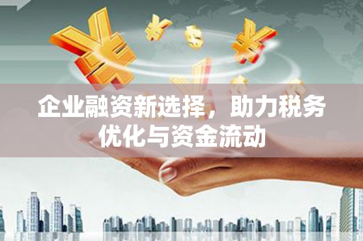 贞丰企业融资新选择，助力税务优化与资金流动