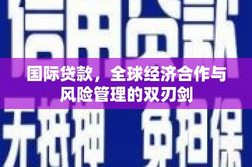 贞丰国际贷款，全球经济合作与风险管理的双刃剑