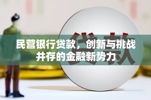 贞丰民营银行贷款，创新与挑战并存的金融新势力