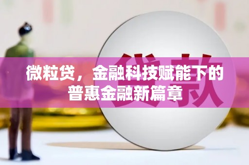 贞丰微粒贷，金融科技赋能下的普惠金融新篇章