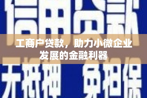 贞丰工商户贷款，助力小微企业发展的金融利器
