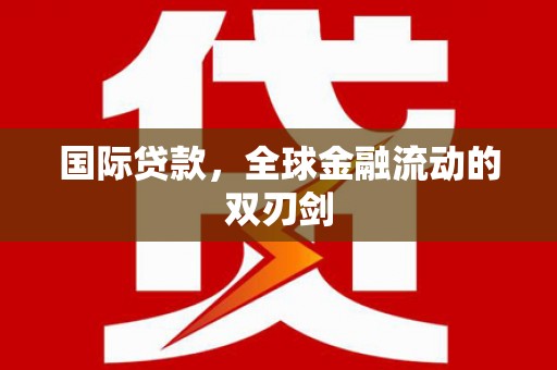 贞丰国际贷款，全球金融流动的双刃剑