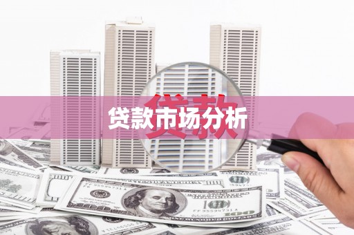 贞丰贷款市场分析
