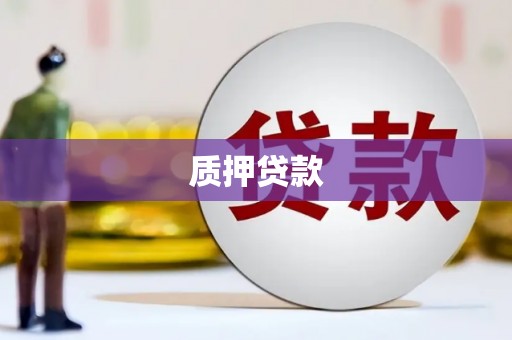 贞丰质押贷款