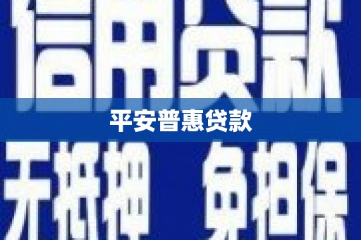 贞丰平安普惠贷款