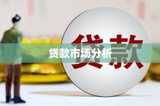 贞丰贷款市场分析