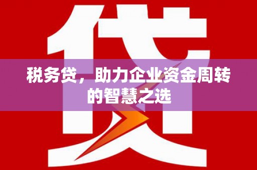 贞丰税务贷，助力企业资金周转的智慧之选
