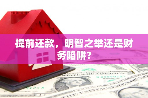 贞丰提前还款，明智之举还是财务陷阱？
