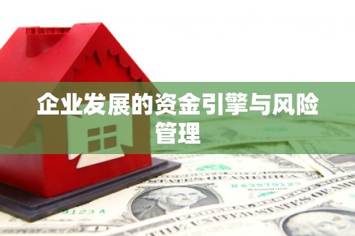 贞丰企业发展的资金引擎与风险管理