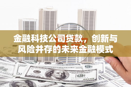 贞丰金融科技公司贷款，创新与风险并存的未来金融模式