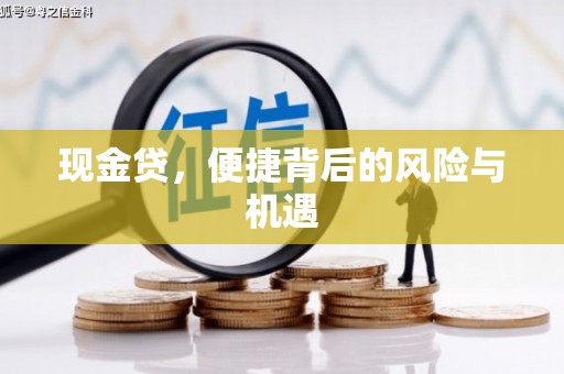 贞丰现金贷，便捷背后的风险与机遇