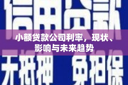 贞丰小额贷款公司利率，现状、影响与未来趋势