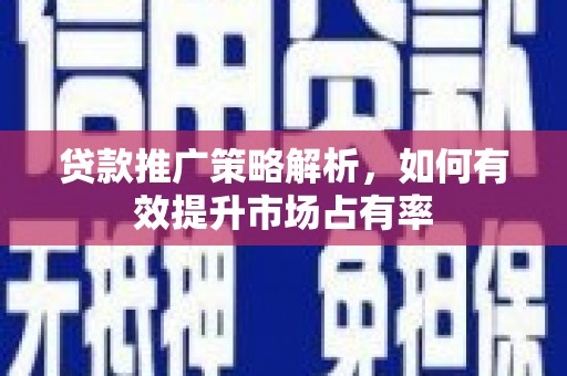贞丰贷款推广策略解析，如何有效提升市场占有率