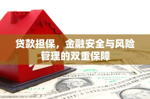 贞丰贷款担保，金融安全与风险管理的双重保障