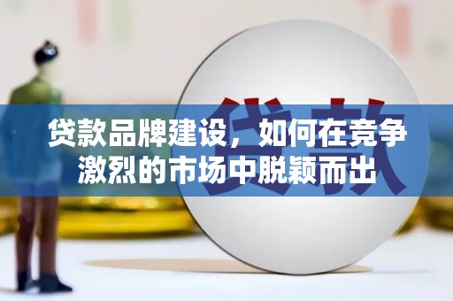 贞丰贷款品牌建设，如何在竞争激烈的市场中脱颖而出