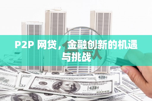 贞丰P2P 网贷，金融创新的机遇与挑战