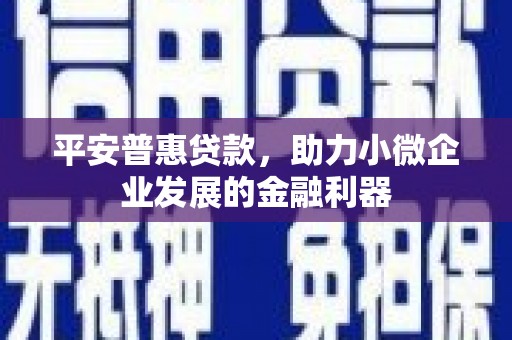 贞丰平安普惠贷款，助力小微企业发展的金融利器