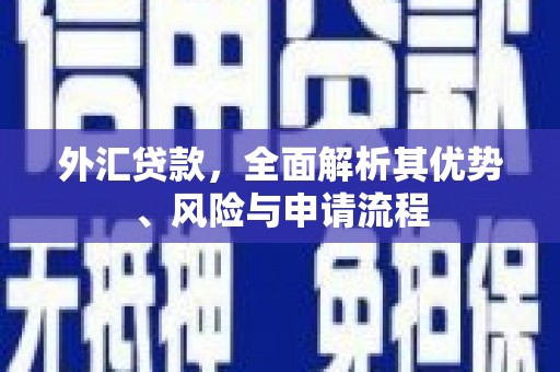 贞丰外汇贷款，全面解析其优势、风险与申请流程