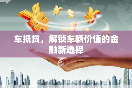 贞丰车抵贷，解锁车辆价值的金融新选择