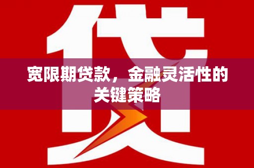 贞丰宽限期贷款，金融灵活性的关键策略