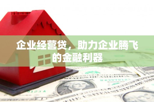 贞丰企业经营贷，助力企业腾飞的金融利器