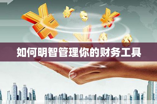 贞丰如何明智管理你的财务工具