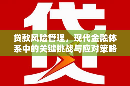 贞丰贷款风险管理，现代金融体系中的关键挑战与应对策略