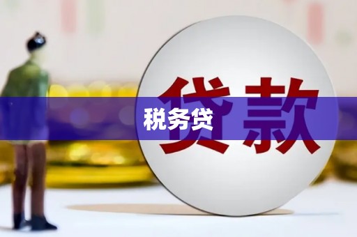 贞丰税务贷