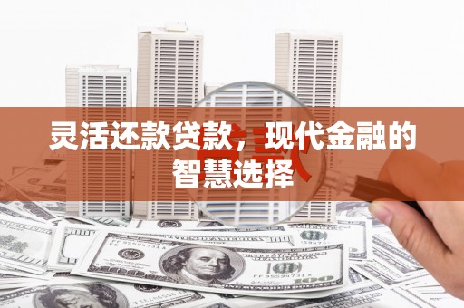 贞丰灵活还款贷款，现代金融的智慧选择