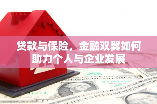 贞丰贷款与保险，金融双翼如何助力个人与企业发展