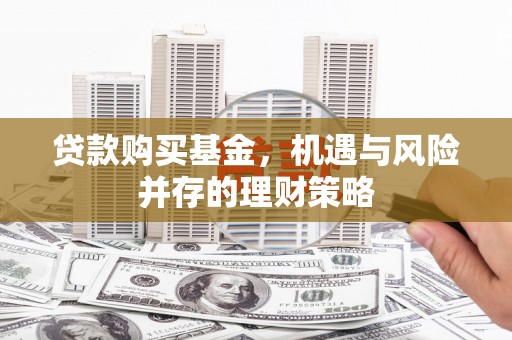 贞丰贷款购买基金，机遇与风险并存的理财策略