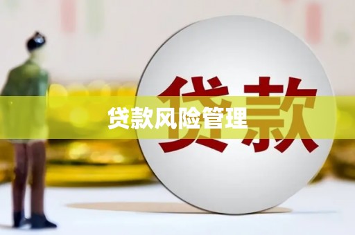 贞丰贷款风险管理