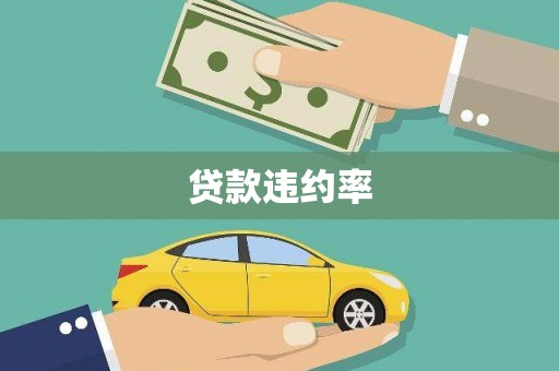 贞丰贷款违约率