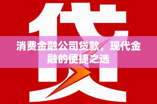 贞丰消费金融公司贷款，现代金融的便捷之选