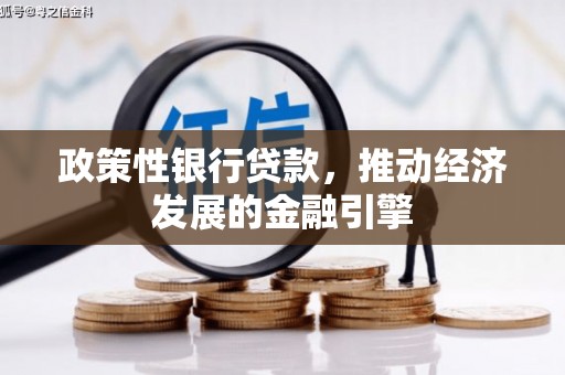贞丰政策性银行贷款，推动经济发展的金融引擎