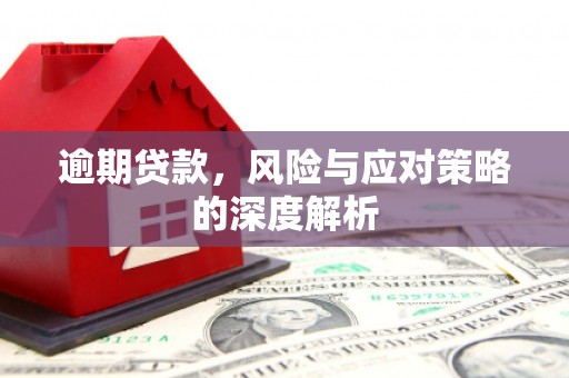贞丰逾期贷款，风险与应对策略的深度解析