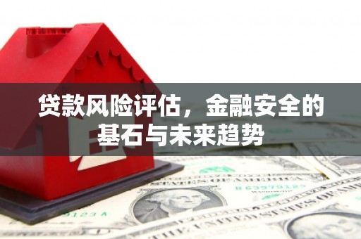 贞丰贷款风险评估，金融安全的基石与未来趋势