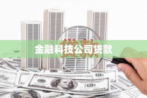 贞丰金融科技公司贷款