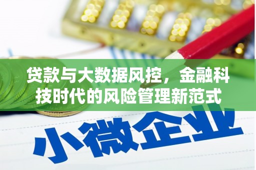 贞丰贷款与大数据风控，金融科技时代的风险管理新范式