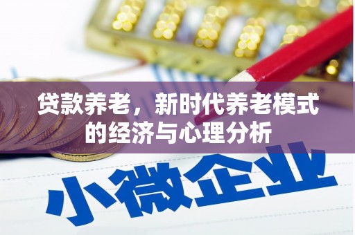 贞丰贷款养老，新时代养老模式的经济与心理分析