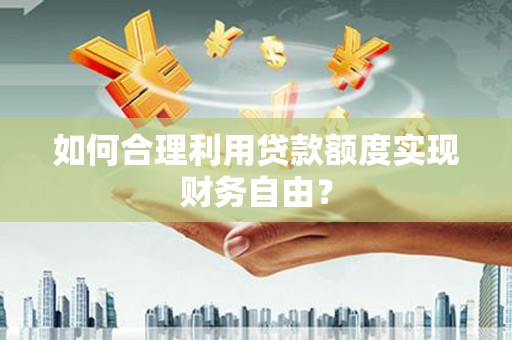 贞丰如何合理利用贷款额度实现财务自由？